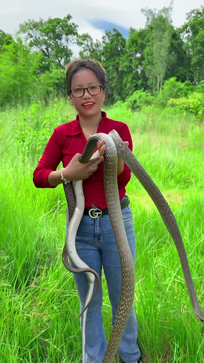 snakelovers #butarueniyardatohi #savesnake#rescuesamjhanarai#morang#wow#nice#