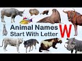 Animal names start with letter w spelling picture vocabulary animals explore 100 animalslover