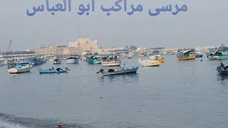جولة في مرسى مراكب بأبي العباس المُرسي والأنفوشى وجولة بالأتوبيس السياحى من بحري لميامي .