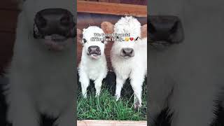 Hoping For Your Help