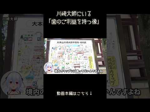【 Vlog 】川崎大師には「歯のご利益を持つ像」がいるらしい… #shorts