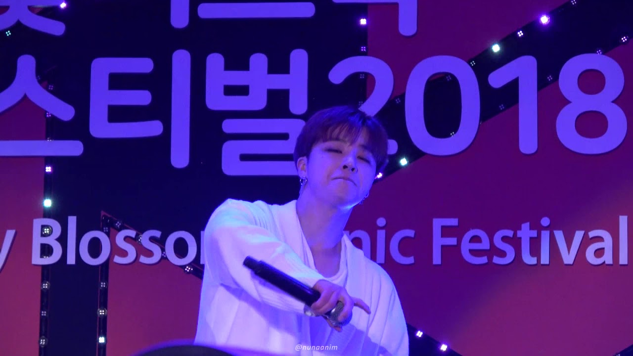 [까치] 180407 벛꽃피크닉 BLING BLING iKON_진환