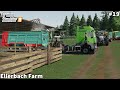 Selling Sheeps & Sugar Beet, Soil Preparation, Seeding Grass  │Ellerbach│FS 19│Timelapse#19