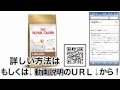 ロイヤルカナンBHN ラブラドールレトリバー高齢犬用 12kg 格安&無料価格でGETする方法を期間限定で紹介中