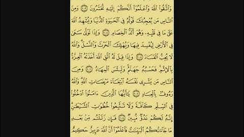 سورة البقرة من الآية (197) إلى الآية (210)