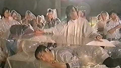 Ong Keng Sen - Destinies of Flowers In The Mirror (1997)