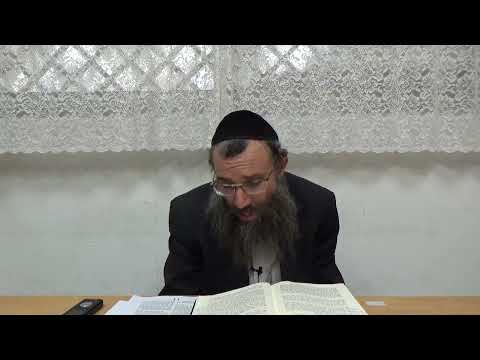 אנ"ך פ"א 5 מהלך הכרם שלמה להבין איך ניצוצין וכלים היו בעיבור בתבונה