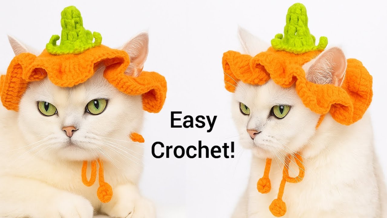 Very easy!🐱How to Crochet Cat Hat Halloween/cute pet hat/Pumpkin Hat Cat