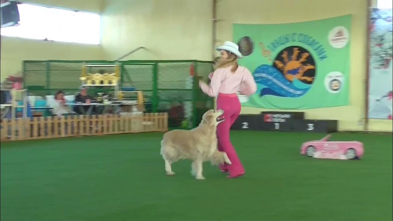 Kick wave. Breeze wind. Складной велосипед wind buddy. Велосипед wind 24. Windy карточка.