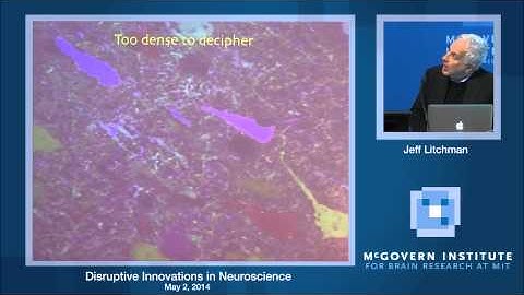 Disruptive Innovations in Neuroscience: Jeff Lichtman