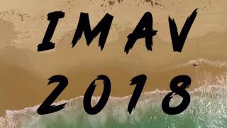 IMAV2018 Teaser