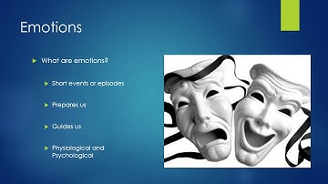 MGMT1105 DupriestD Individual Values Perception and Reaction video