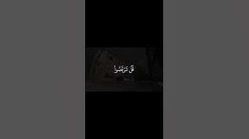 محمد اللحيدان | القرآن الكريم #قرآن #quran #تلاوة_خاشعة #القرآن_الكريم #راحة_نفسية