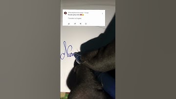 Nusrat Name Art Signature. Sign N.#letter #sign #signature #lettersign #nameart #art #name