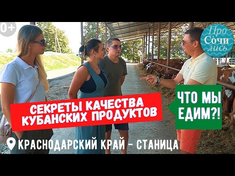 Кубанские продукты ➤Фермерские хозяйства Краснодарского края ✔качество наших продуктов 🔵Просочились