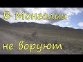 В Монголии не воруют. Жизнь ЮРТЫ.