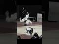 -Judo Knockout Moments💀- Comment which one is the most brutal👇