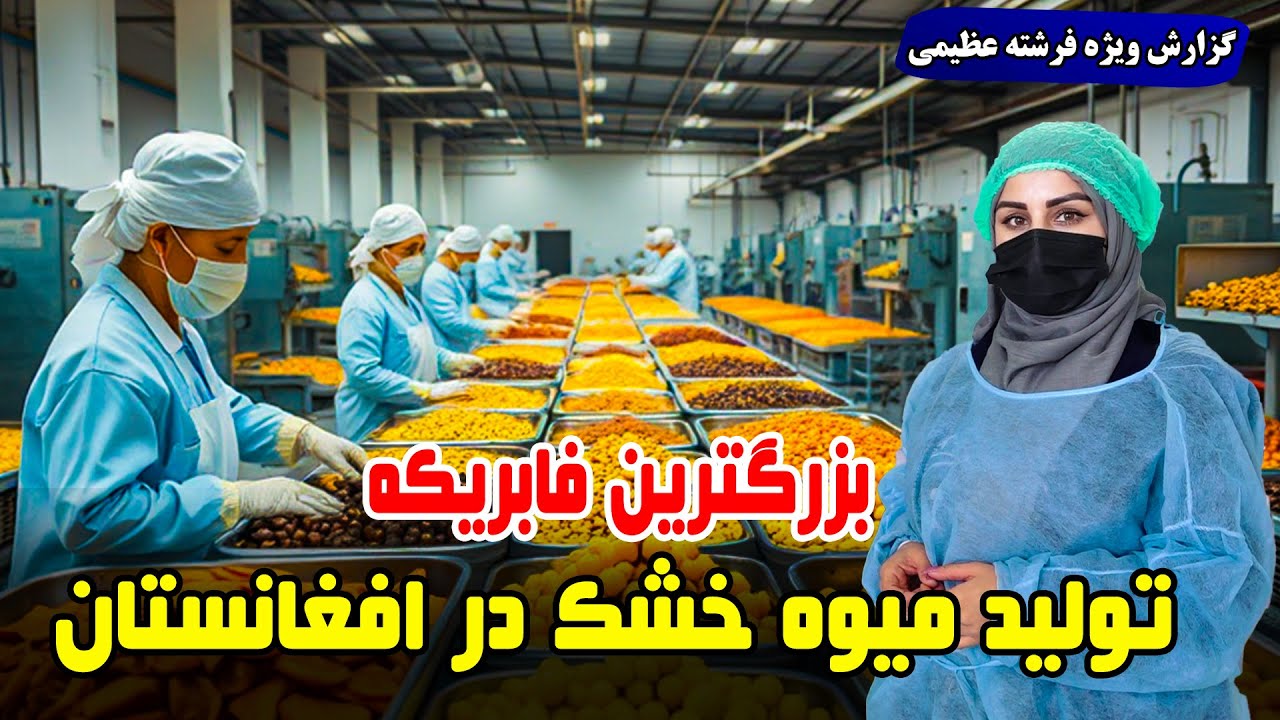 بزرگترین فابریکه تولیدی میوه خشک در افغانستان، گزارش فرشته عظیمی