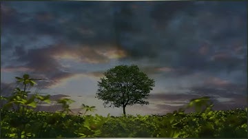 سورة سبأ | تركي عبيد المري | حفص عن عاصم