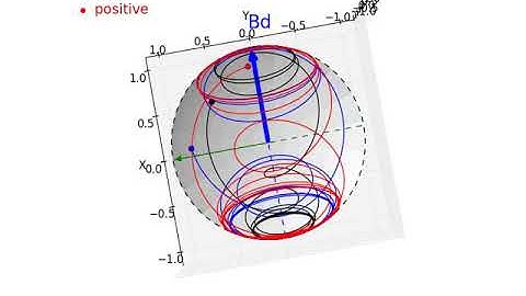 Spin dressing and off resonance spin echo formation,  y = 8, x=17 5