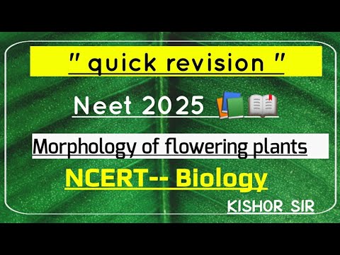 ncert morphology [