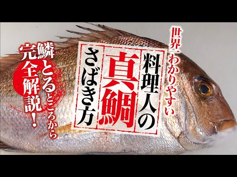 完全版】料亭の板前直伝・鯛の三枚おろしやり方/Japanese Food How to