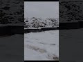 Оружие и алкоголь, как совместить несовместимое в рамках закона