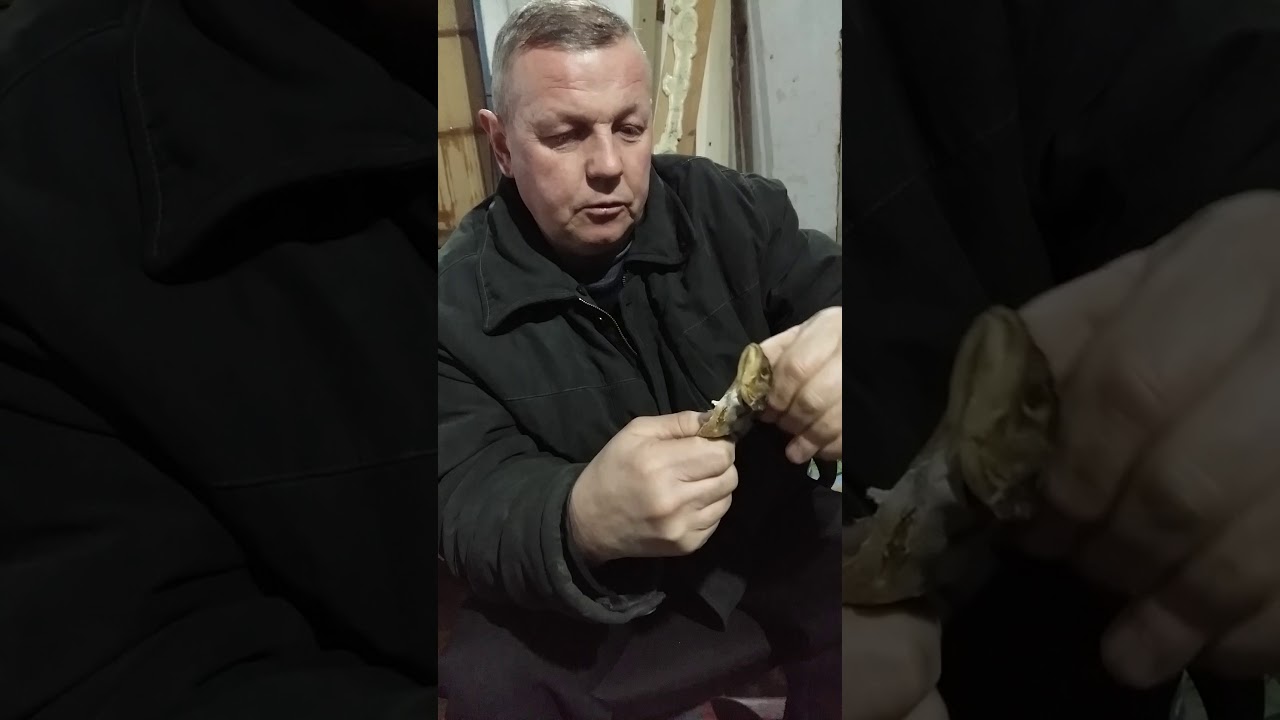 Порно Дяди Миши Вк
