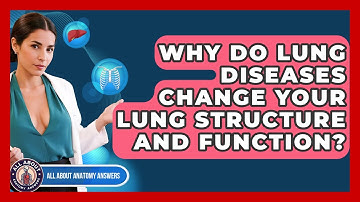 Why Do Lung Diseases Change Your Lung Structure And Function? - All About Anatomy Answers