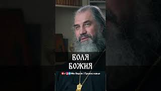 Воля Божия | прот. Александр Никольский