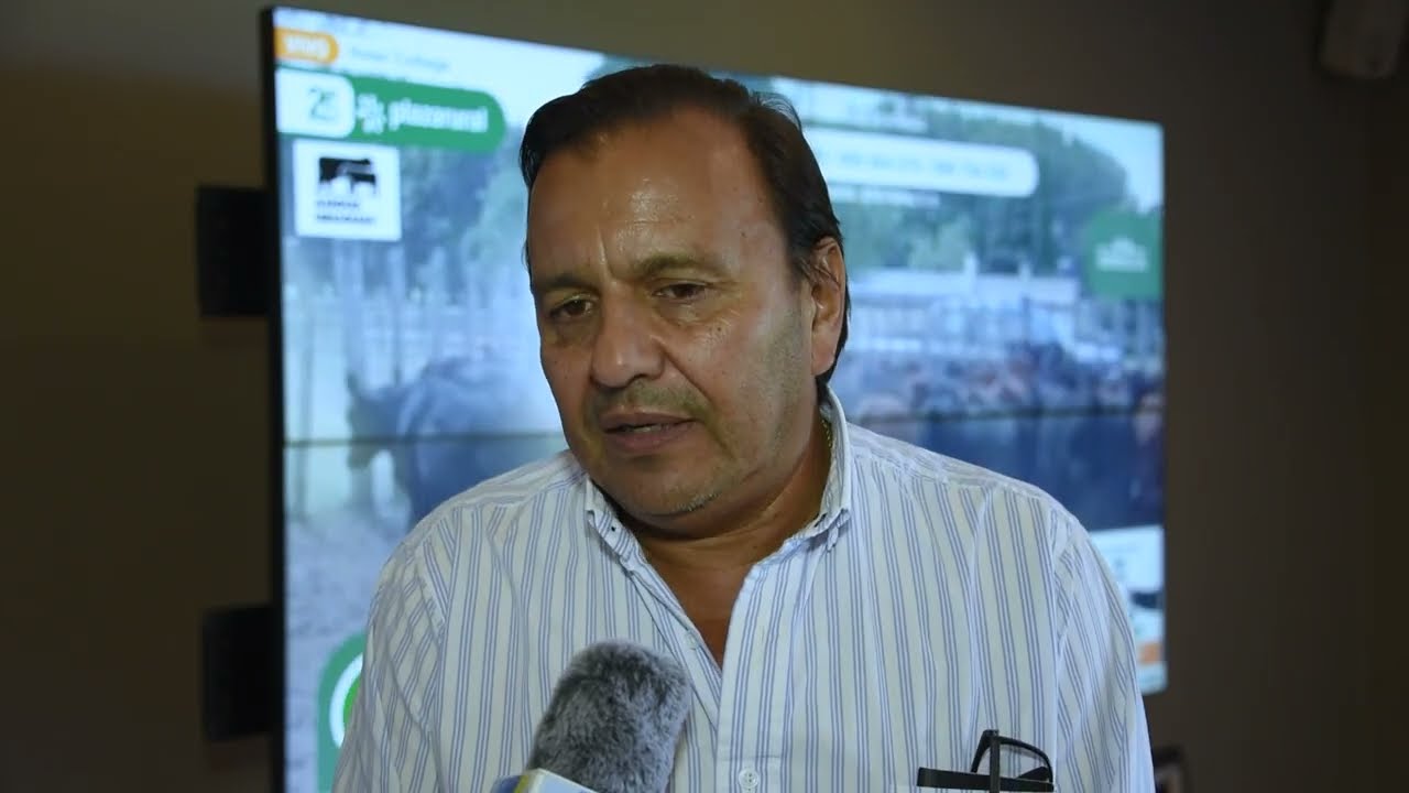 El paso a paso de una semana histórica en remates por pantalla