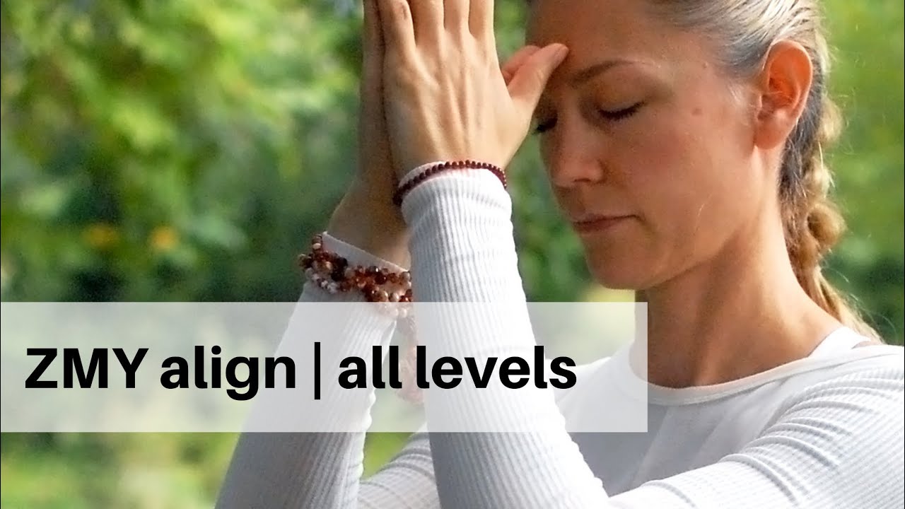 Yoga for Alignment + Healing | Recorded LIVE stream ZOOM in Studio | ZENner mobile yoga