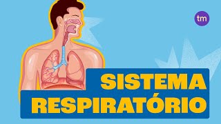 Como funciona o Sistema Respiratório?