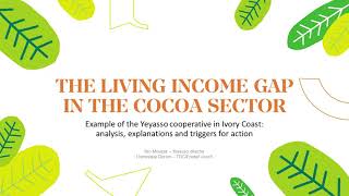 Webinar: The living income gap in the cocoa sector