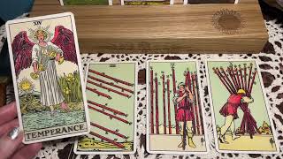 Eight, Nine, and Ten of Wands: Sagittarius Season and 2023 plans