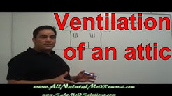 What causes mold to grow in attic: Ventilation of an attic.