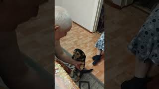 ОЧЕРЕДНАЯ ПРОВЕРКА ОВЧАРКИ НА ЕЁ ЧИСТОКРОВНОСТЬ!!! #motivation #собака #travel #dog