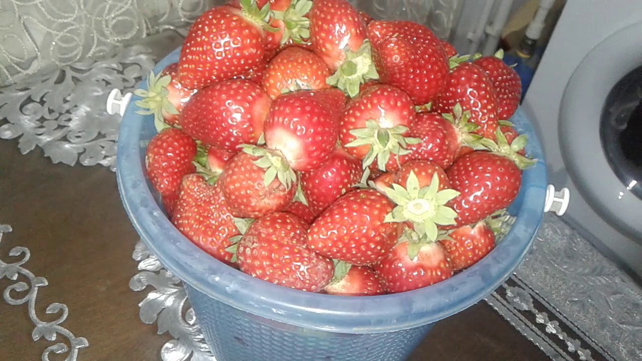 Клубника печки псков