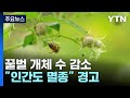 &quot;꿀벌 사라지면 인간도 멸종&quot;...&#39;식량 안보·생태계&#39; 위협 경고 / YTN