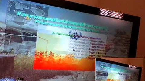 Bypass infectable Mod menu What to use!