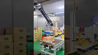 The entire dumpling packaging line is smooth and efficient, achieving cost recovery within a year.