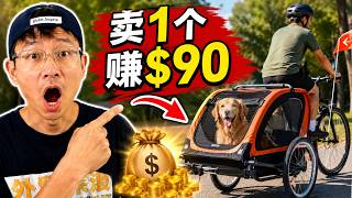 这7个宠物产品老外抢着买！Shopify独立站爆款分享2026