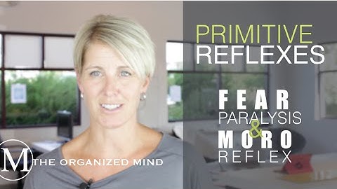 Fear Paralysis & Moro Reflex