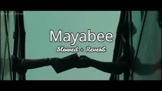 Mayabee- [ 𝙨𝙡𝙤𝙬𝙚𝙙   𝙧𝙚𝙫𝙚𝙧𝙗 ]  | মায়াবী  |  Blue Touch Bangladesh | Shariyat_LOFI