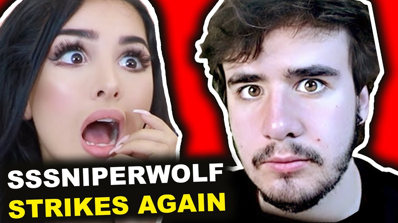 The SSSniperWolf Situation... YouTube