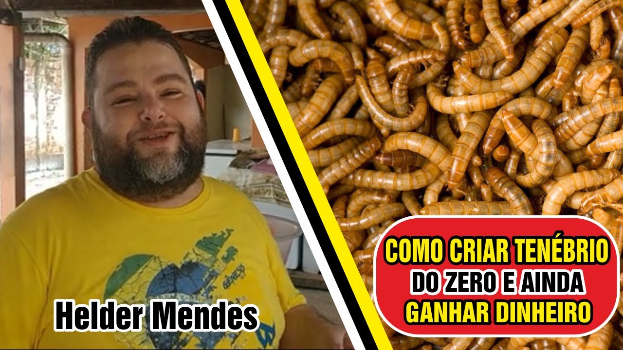 COMO CRIAR TENÉBRIO DO ZERO E AINDA GANHAR DINHEIRO Parte 1