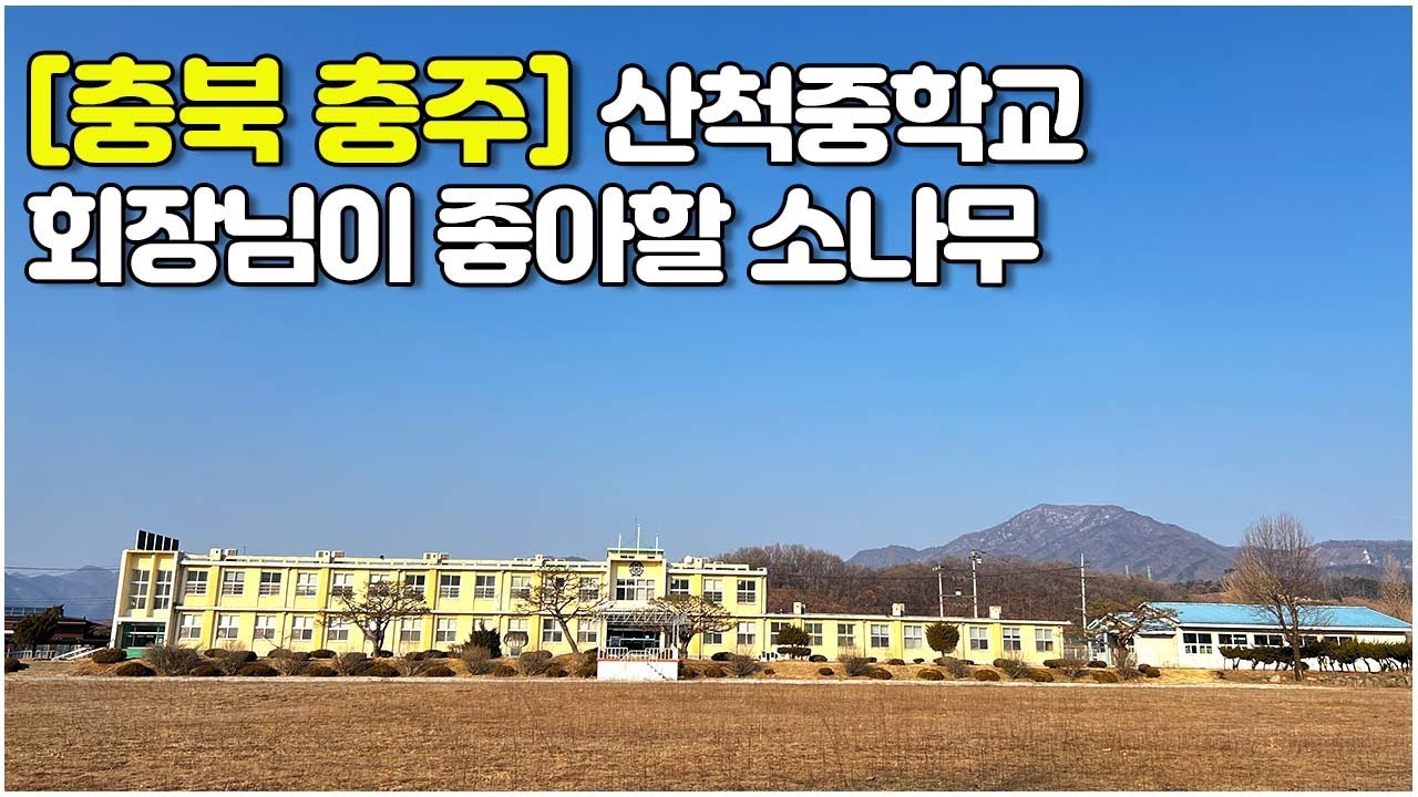 [충북 충주] 회장님이 좋아할 소나무 #산척중학교 #폐교