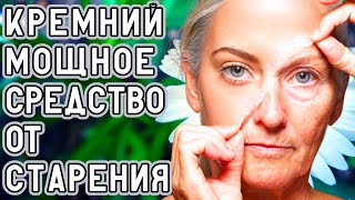 КАК БЫСТРО ВЕРНУТЬ МОЛОДОСТЬ И КРЕПКОЕ ЗДОРОВЬЕ | РАСТИТЕЛЬНЫЙ КРЕМНИЙ- ЛУЧШЕЕ СРЕДСТВО ОМОЛОЖЕНИЯ