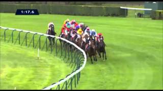 Qatar Prix de l'Arc de Triomphe 2013 - Trêve