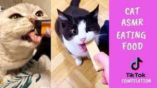 Cat ASMR - Eating Food | Cat Mukbang #tiktok compilation video by Oh Hooman 1,143 views 2 years ago 3 minutes, 29 seconds